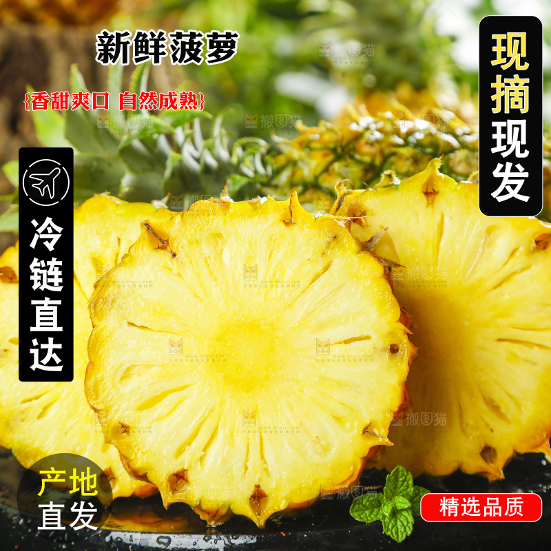 黑底上摆放着进口菠萝