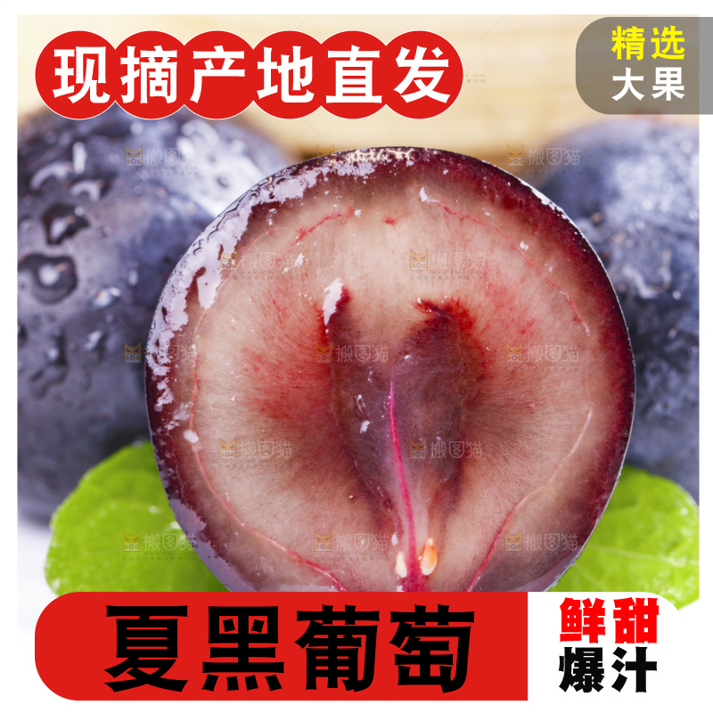 白底上摆放着夏黑
