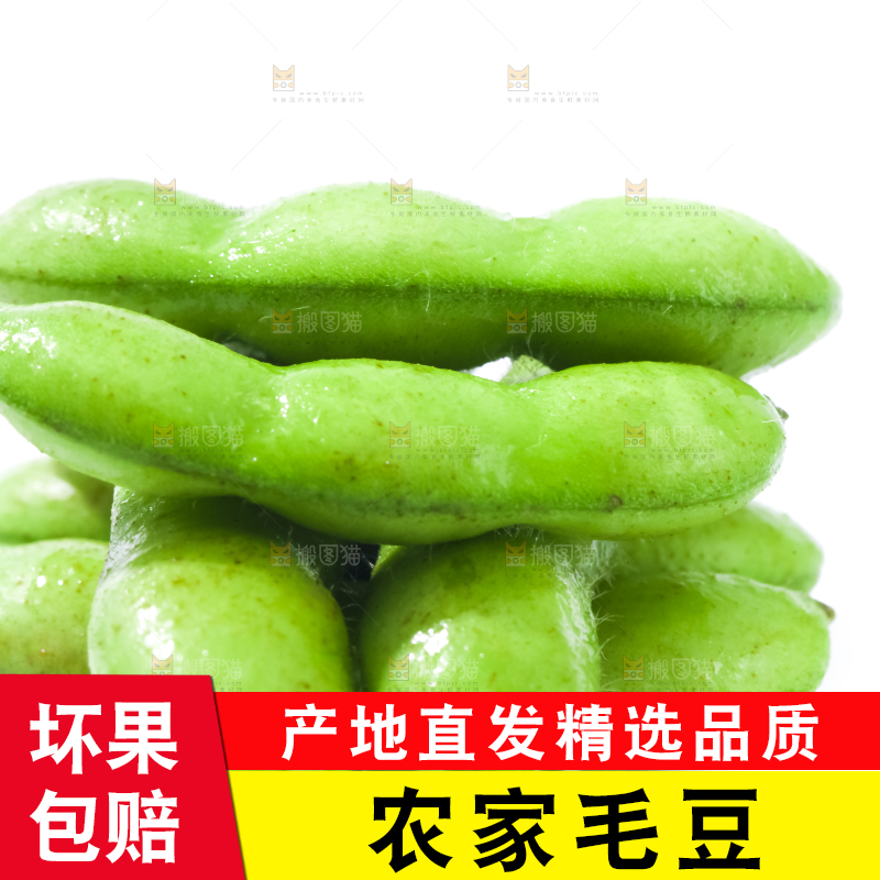 白底上摆放着毛豆角