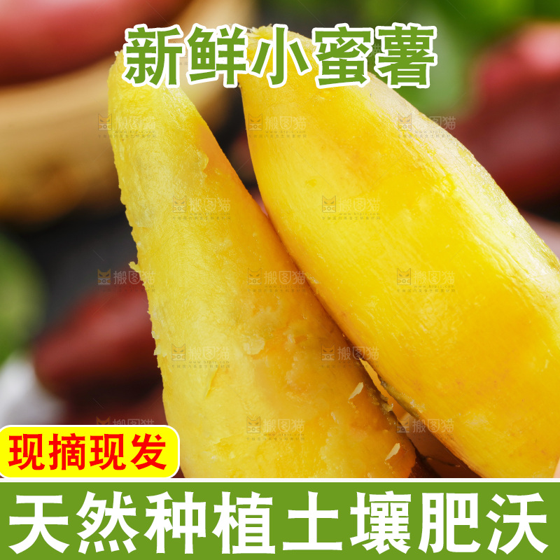手里拿着临安小香薯
