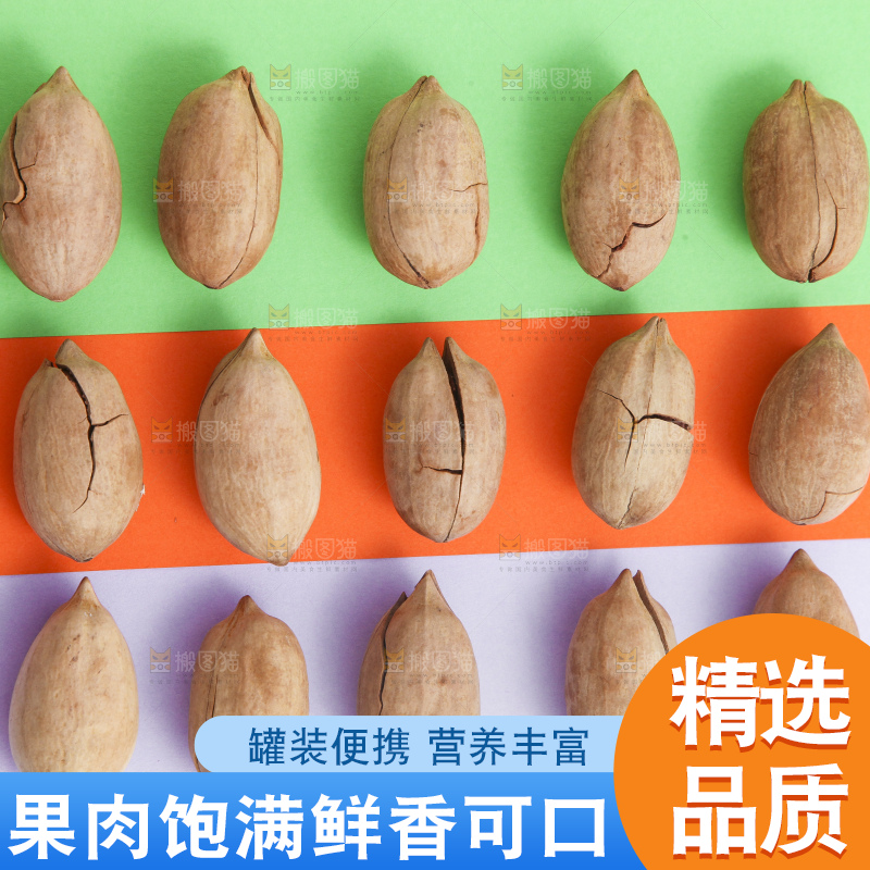 浅底上整齐摆放着长寿果