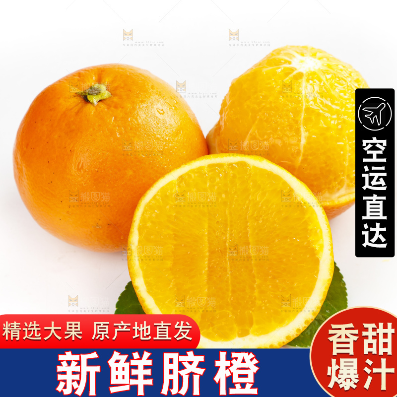 白底上摆放着新鲜脐橙