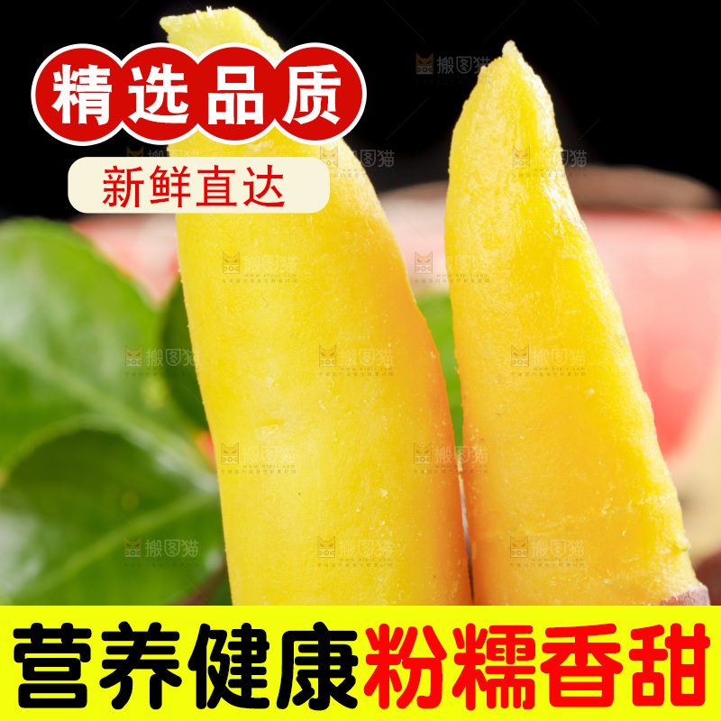 手里拿着临安小香薯