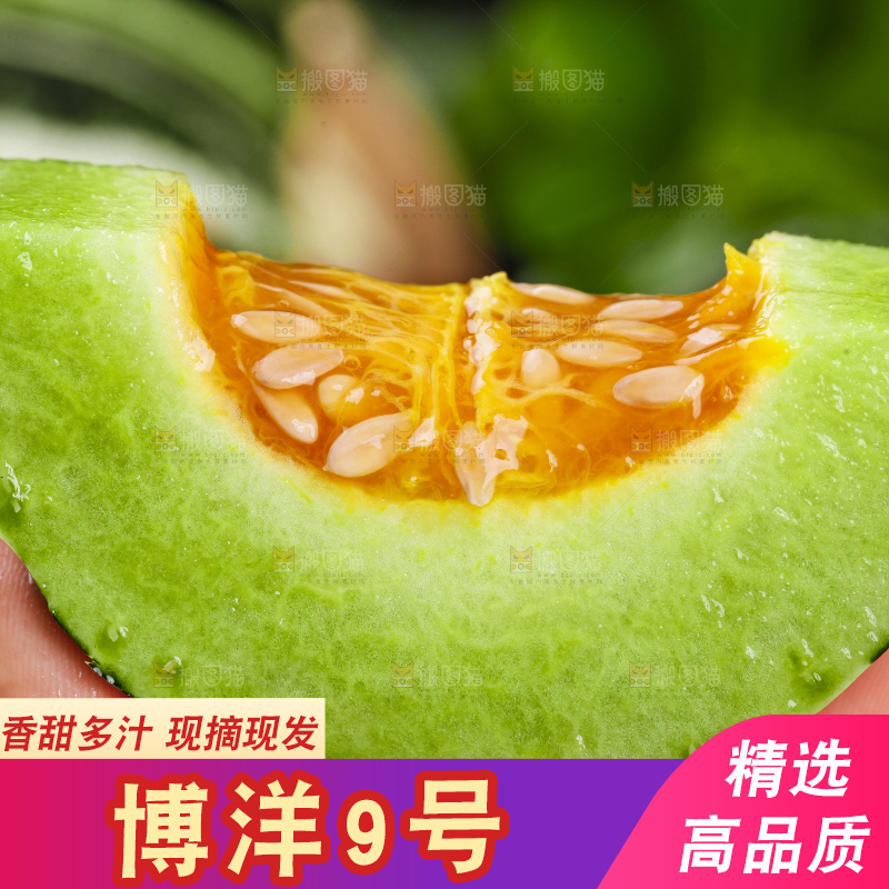 手里拿着花皮甜瓜