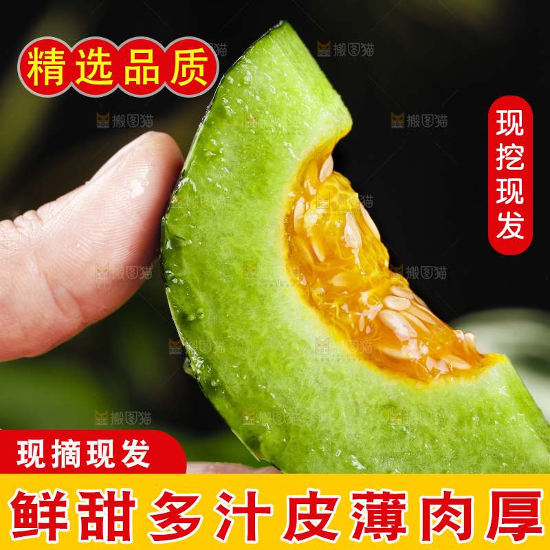 手里拿着博洋甜瓜