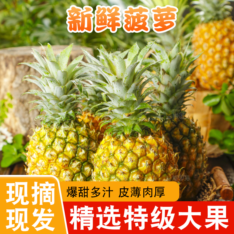 篮子里装着菠萝