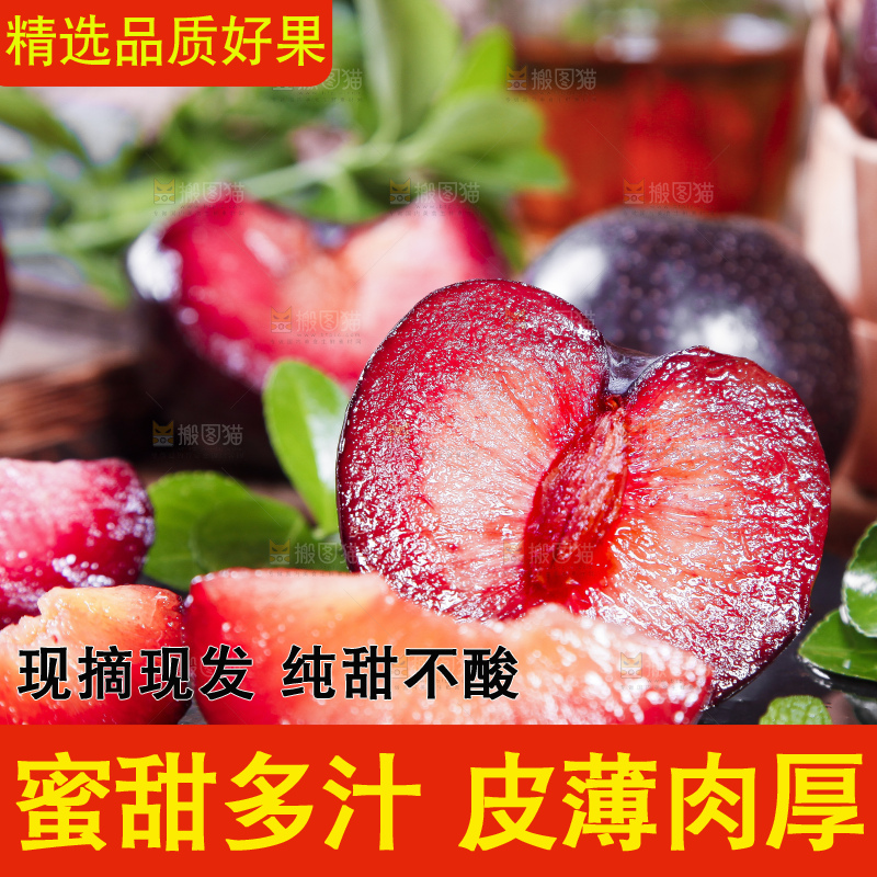 黑底上摆放着智利进口恐龙蛋