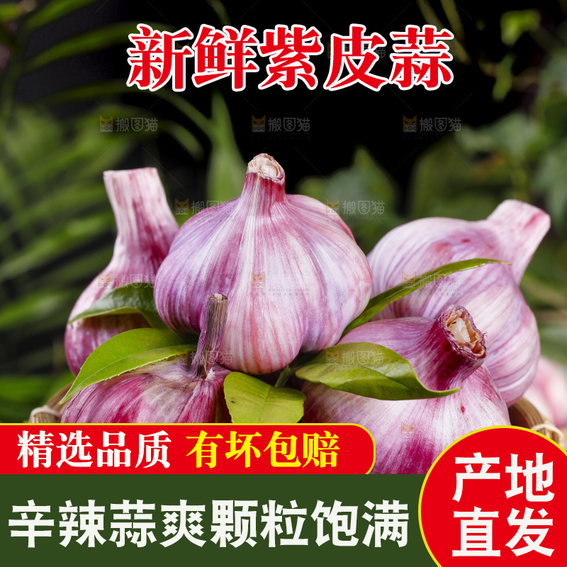 篮子里装着紫皮多瓣蒜
