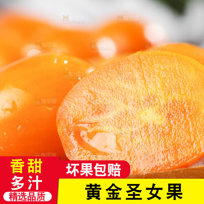 木底上摆放着山东黄金圣女果