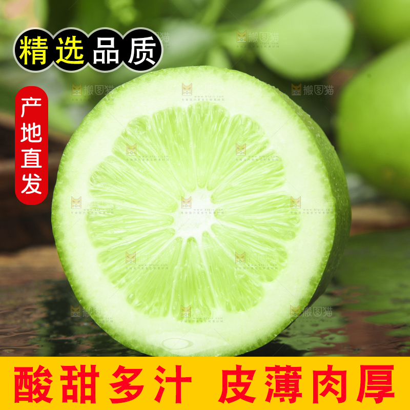 黑底上摆放着海南无籽香水柠檬