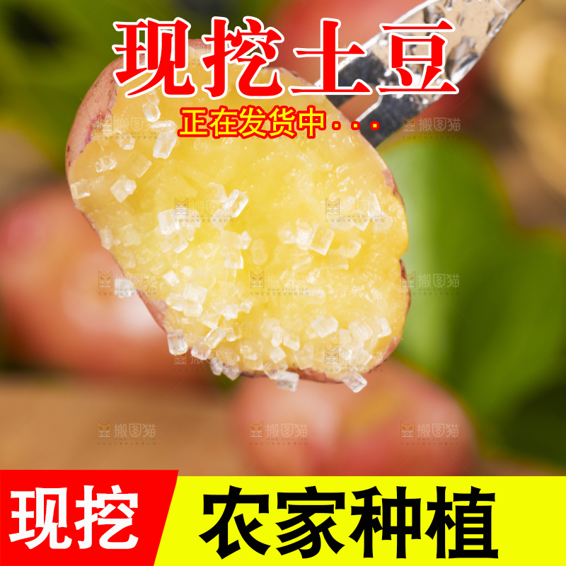 叉子叉着一块洋芋