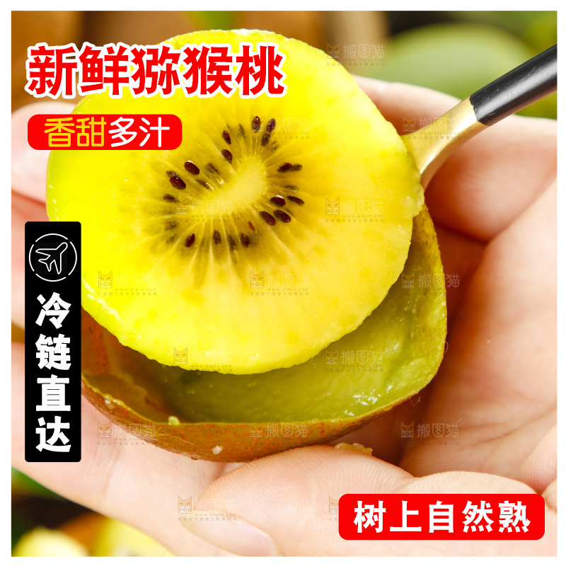 手里拿着黄心猕猴桃