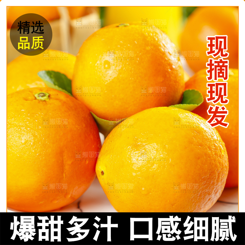 碟子里装着塔罗科血橙