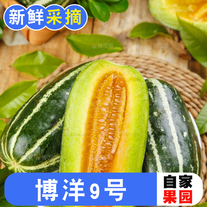 盘子里装着新鲜博洋9号甜瓜