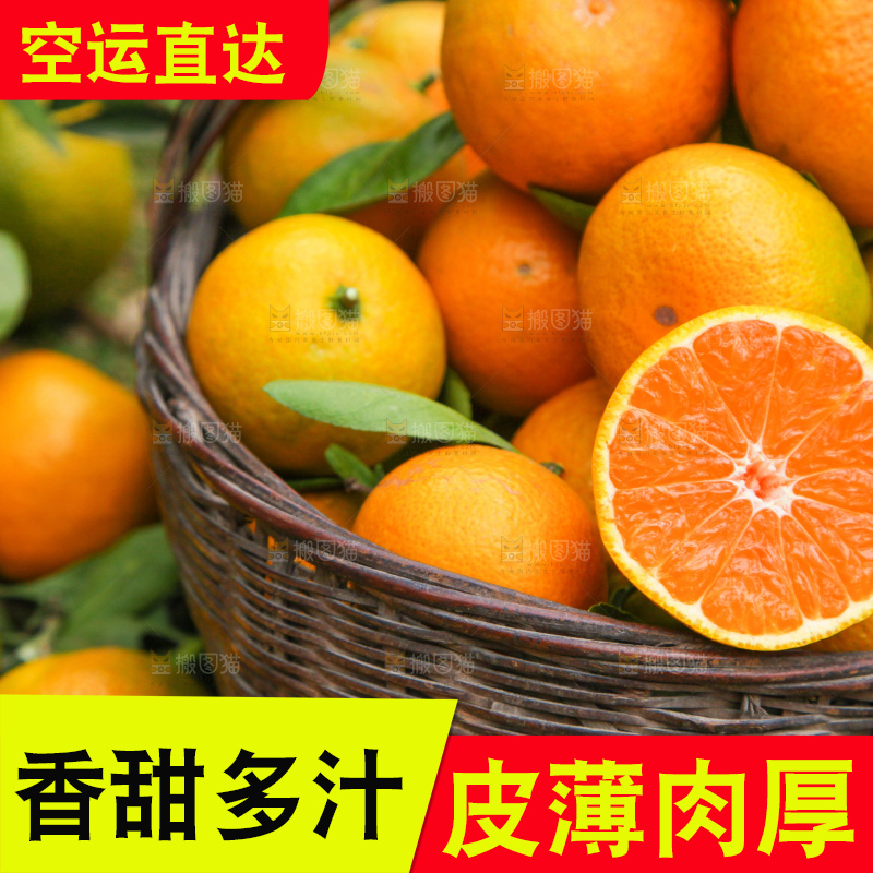 篮子里的新鲜橘子