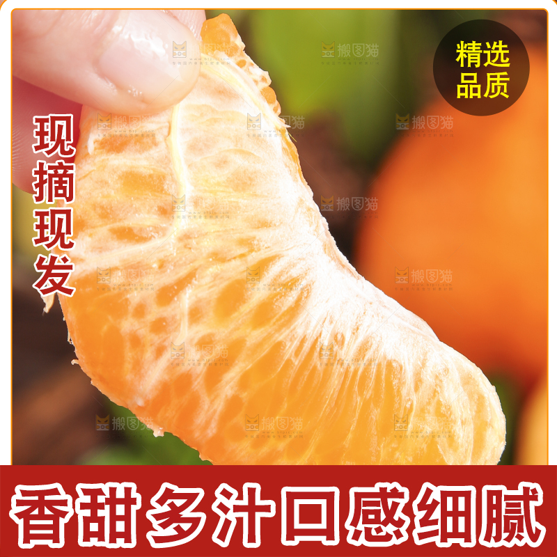 手里拿着柑橘