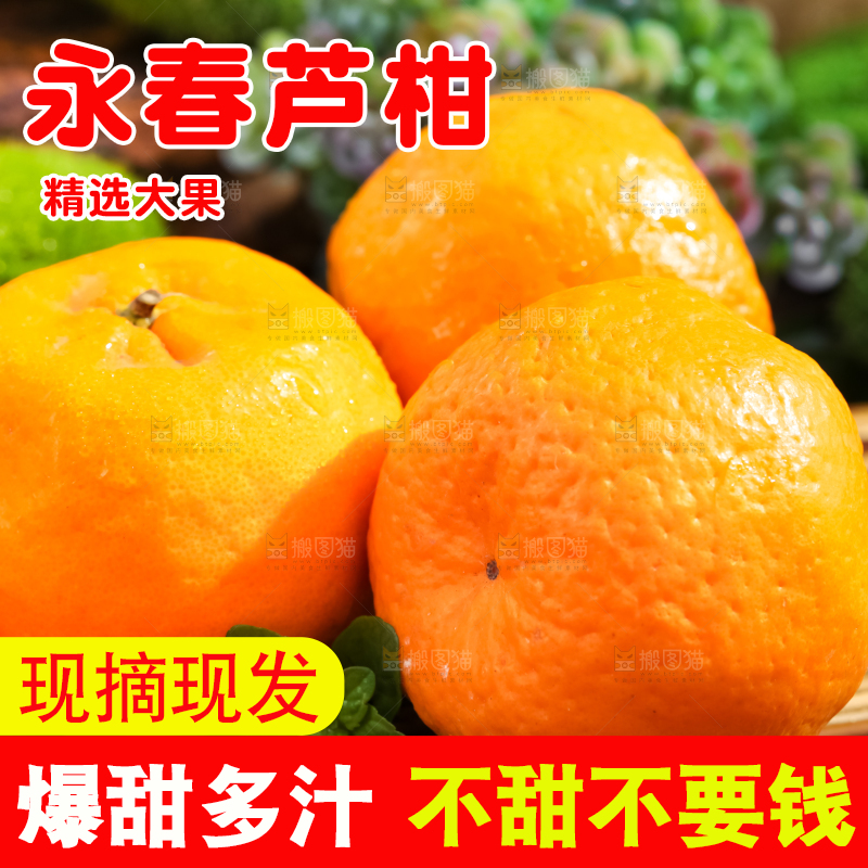 竹垫上放着宜昌芦柑