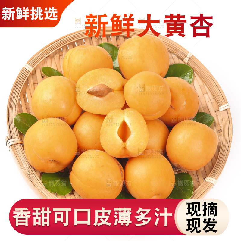 篮子里装着烟台杏子