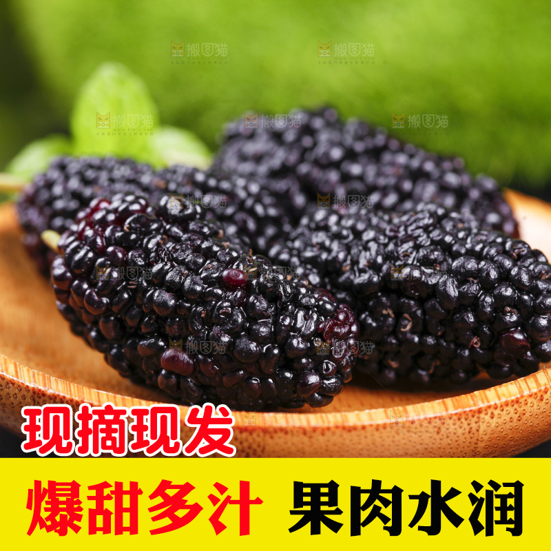 碟子里装着黑桑葚