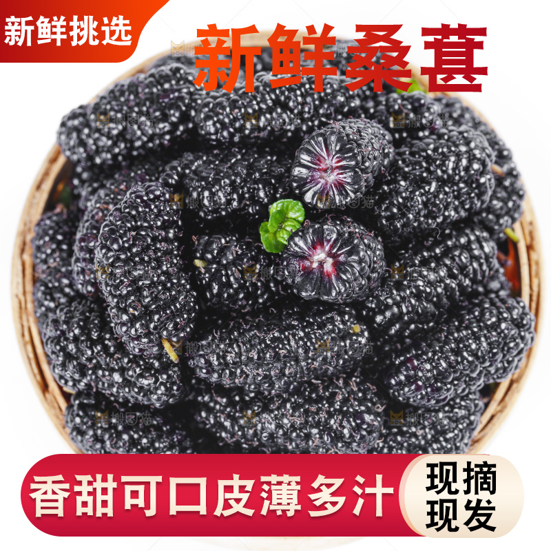 篮子里装着黑桑葚