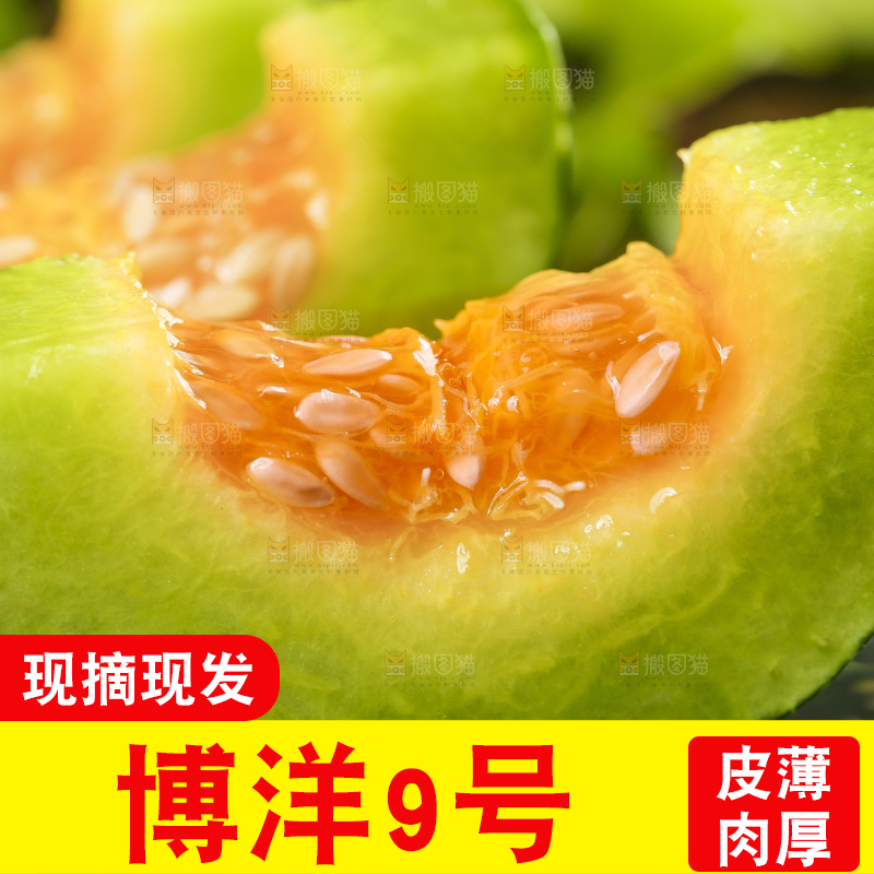 黑底上放着博洋蜜脆甜瓜