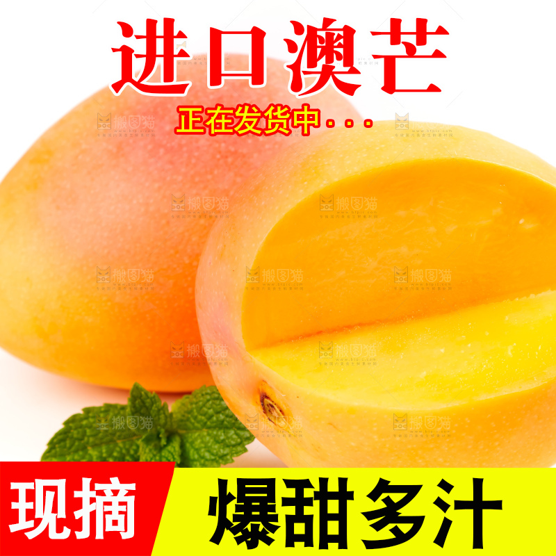 白底上摆放着越南澳芒