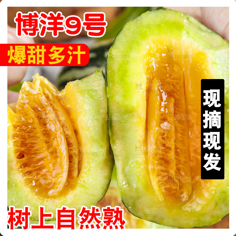 手里拿着酥蜜9号