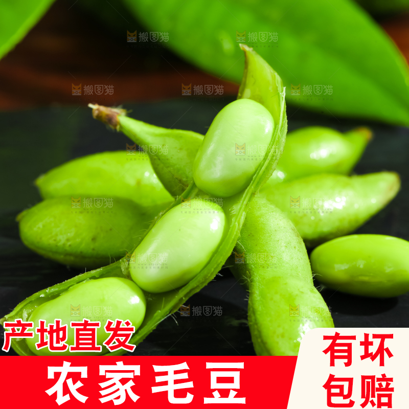 黑底上摆放着湖北毛豆