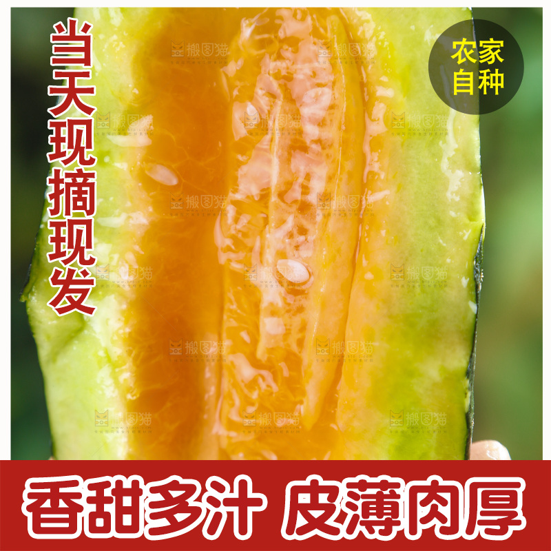 手里拿着博洋香瓜