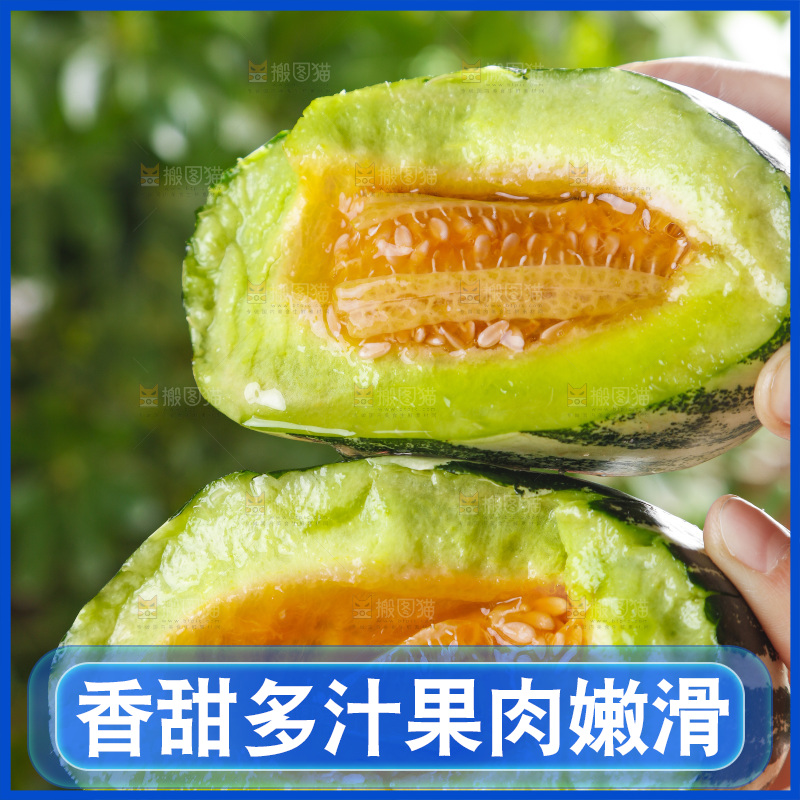 手里拿着博洋甜瓜