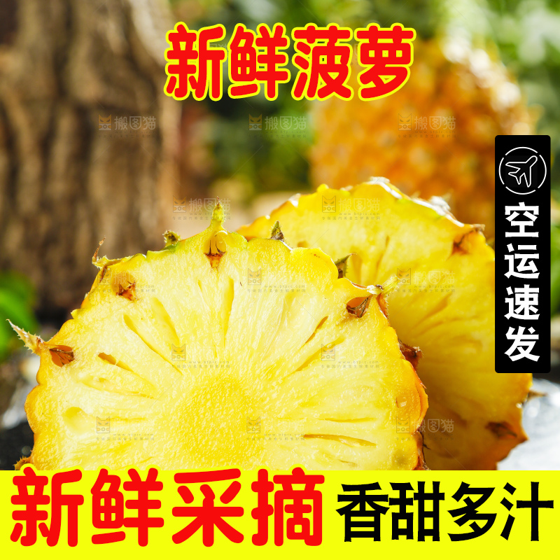 黑底上摆放着进口菠萝