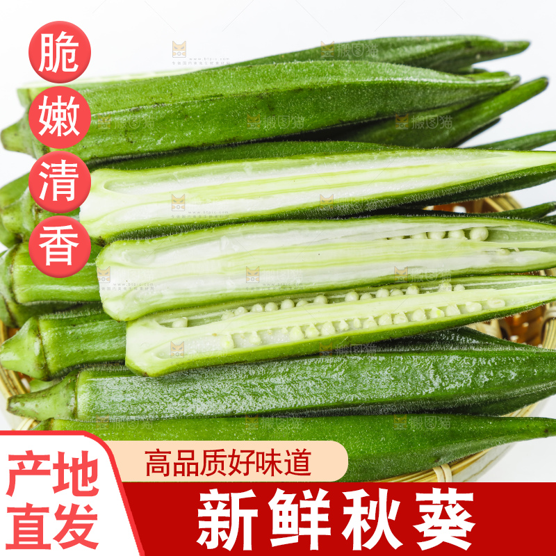 篮子里装着山东新鲜秋葵