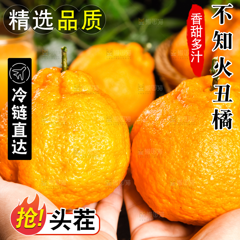 手里拿着新鲜丑橘