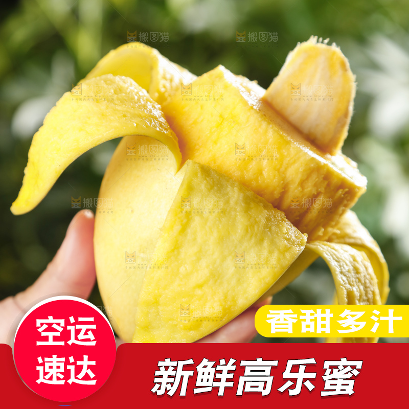 手里拿着甜心芒