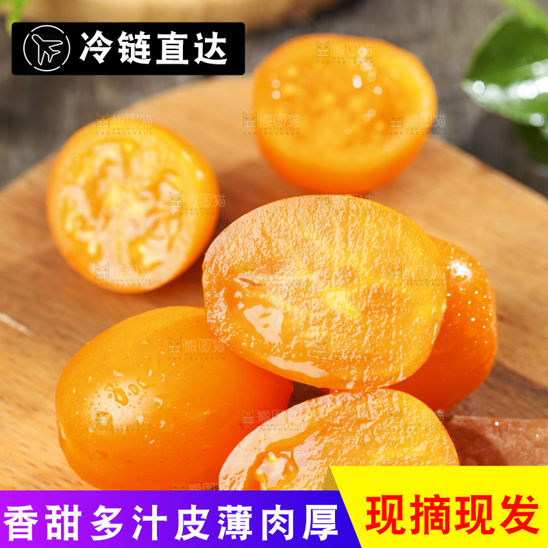 木底上摆放着山东黄金圣女果