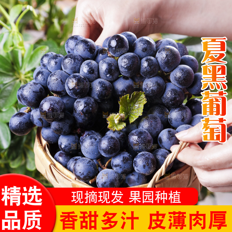 手里拿着一篮夏黑葡萄