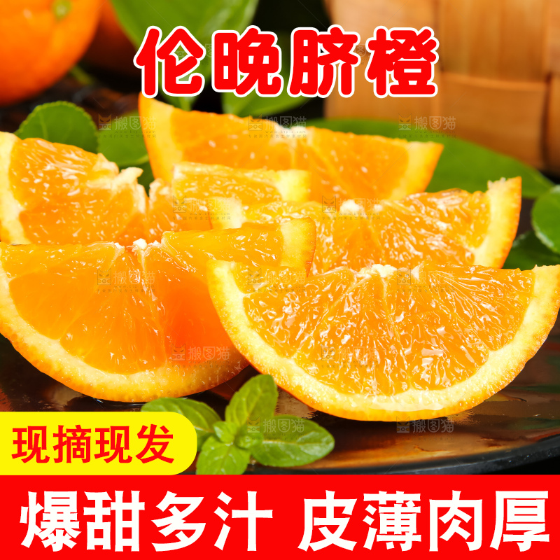 深底上摆放着秭归伦晚脐橙
