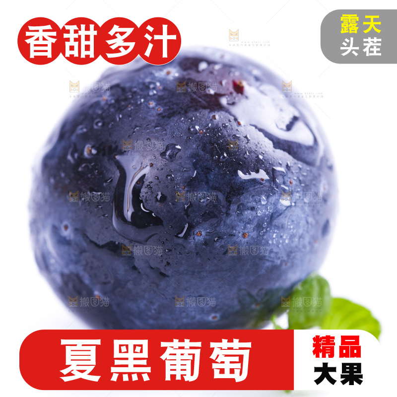 白底上放着夏黑加仑葡萄