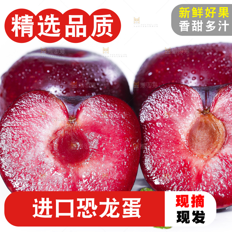 白底上摆放着新鲜恐龙蛋李