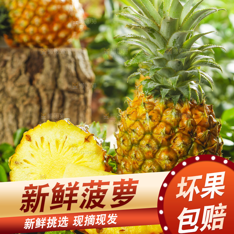 黑底上摆放着进口菠萝