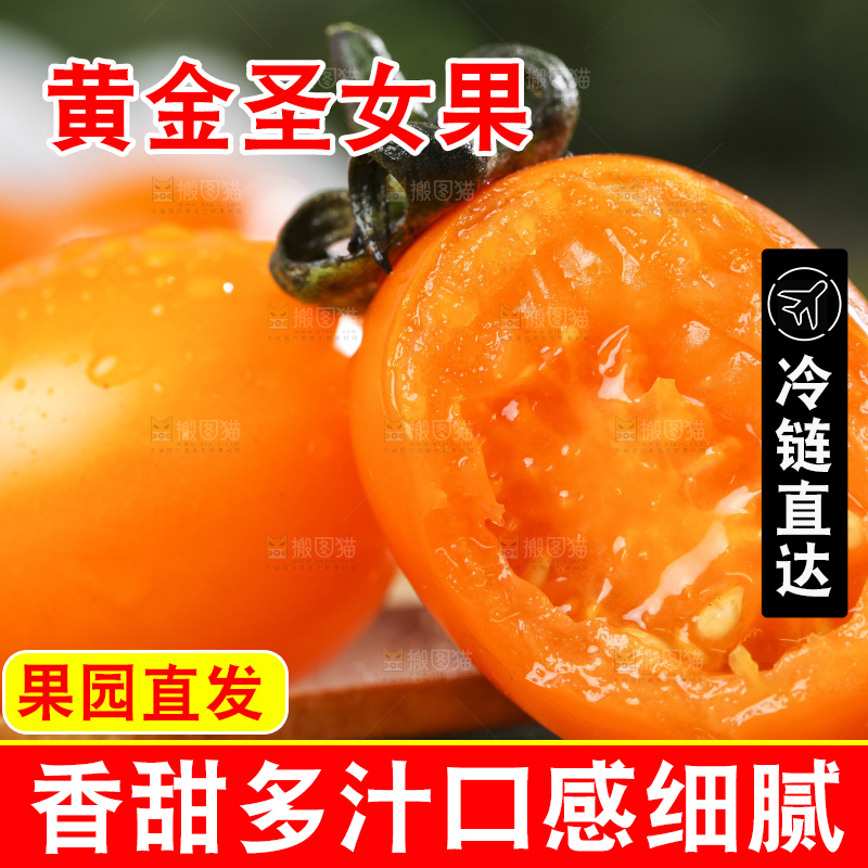 木底上摆放着山东黄金圣女果