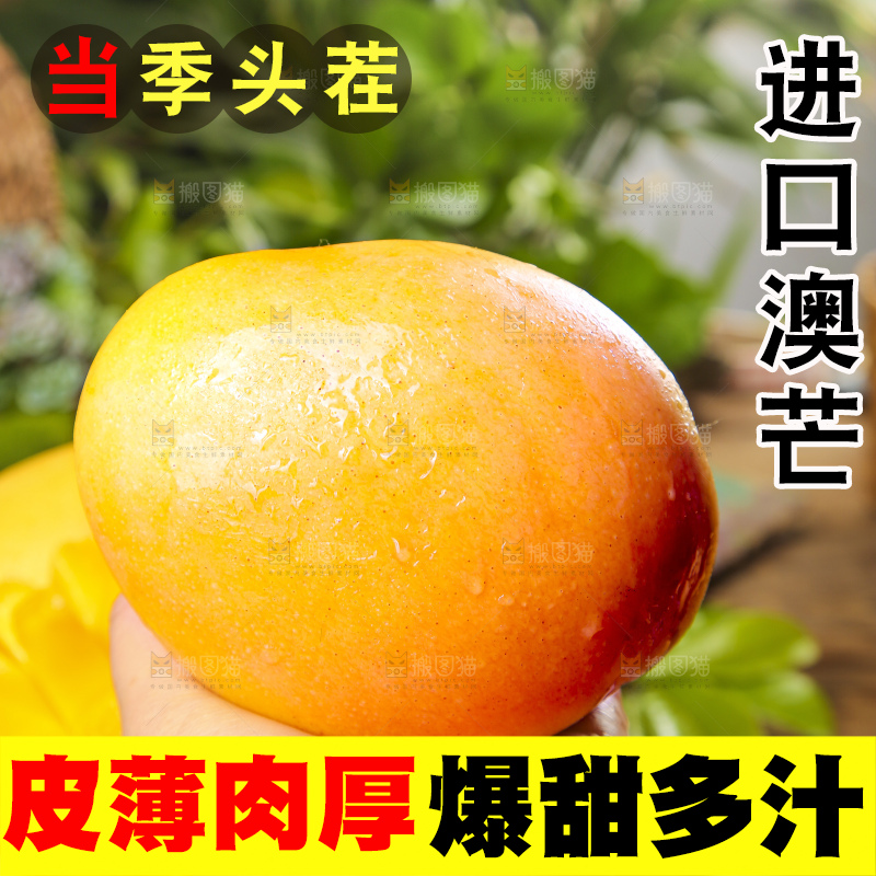 手里拿着新鲜澳芒