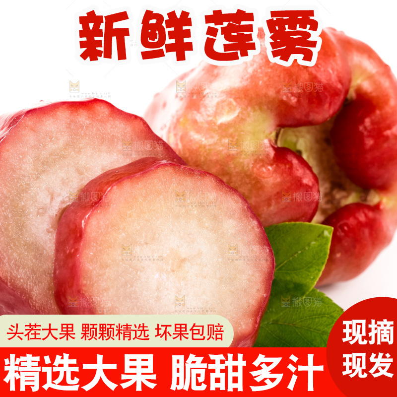 白底上摆放着海南莲雾