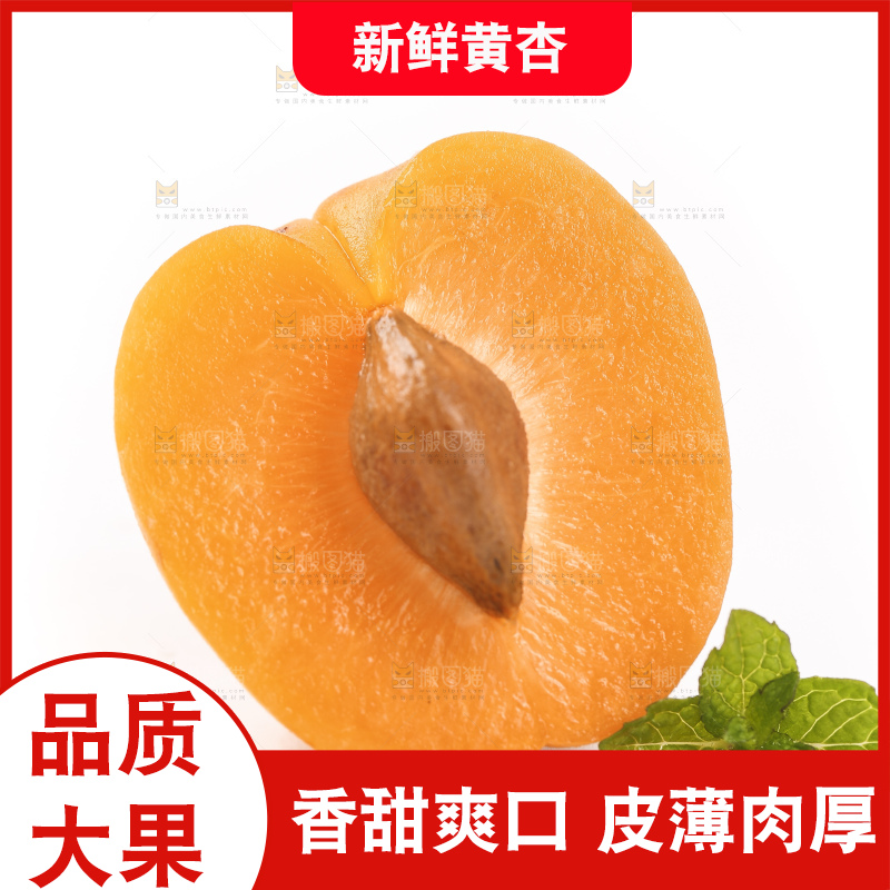 白底上摆放着黄金太阳杏