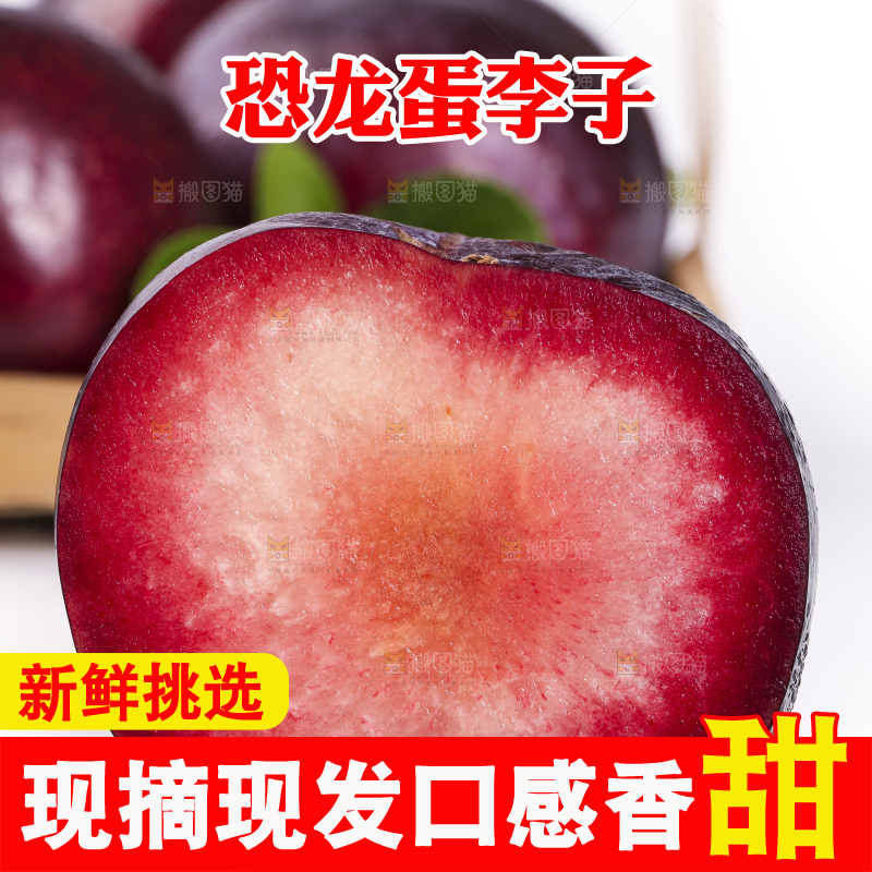 白底上放着恐龙蛋李