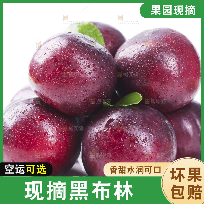 盘子里装着黑布李