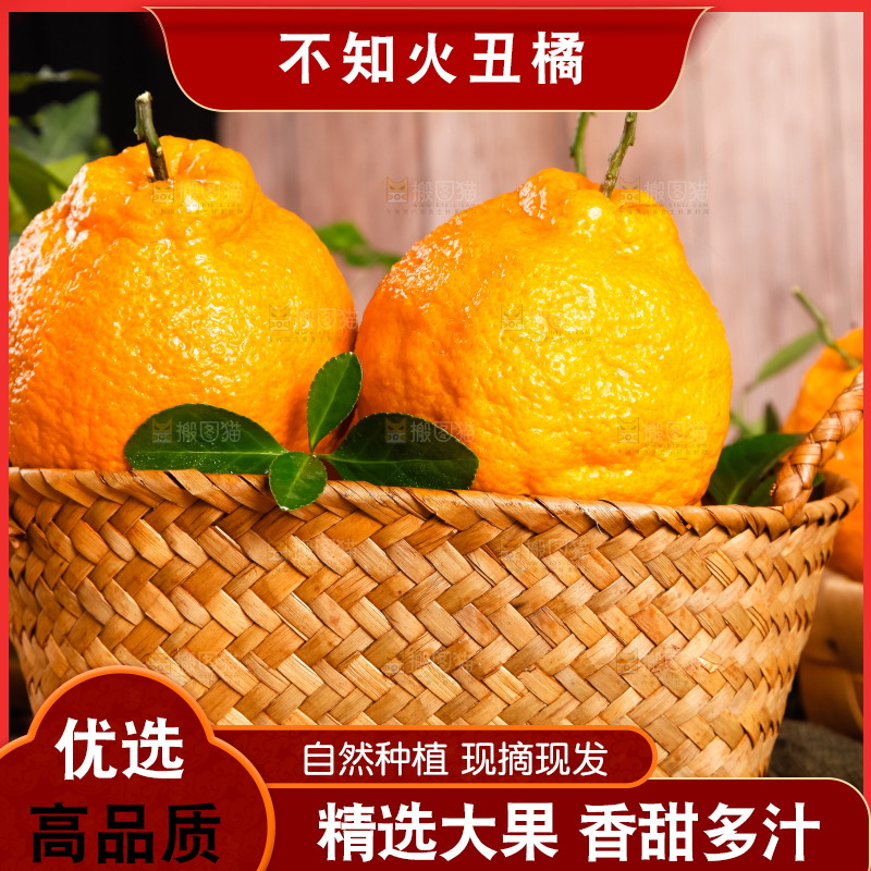 篮子里装着不知火柑橘