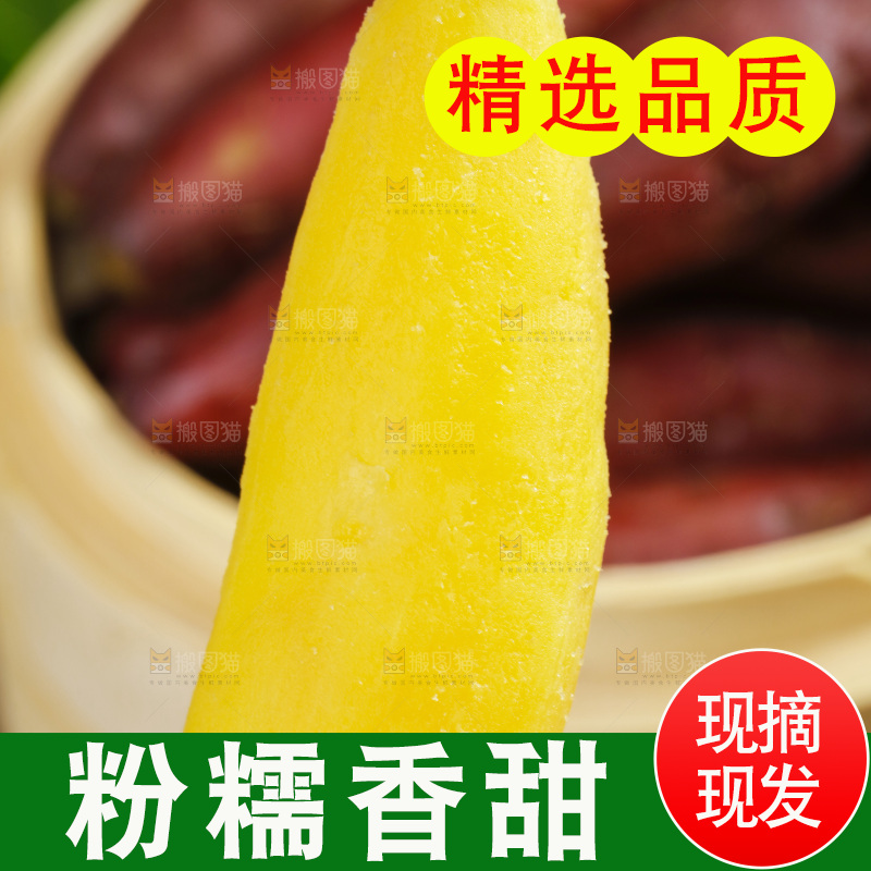 手里拿着临安小香薯