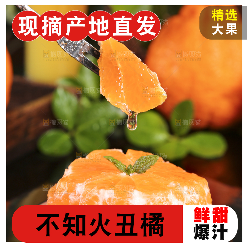 叉子叉着一块柑橘