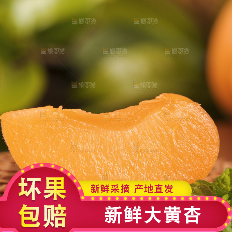 黑底上摆放着大黄杏